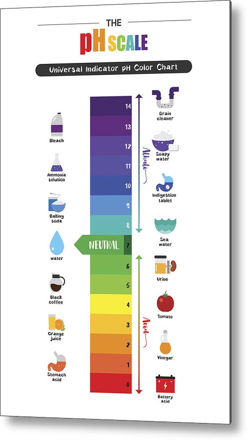 Ph Scale Drawing at PaintingValley.com | Explore collection of Ph Scale ...