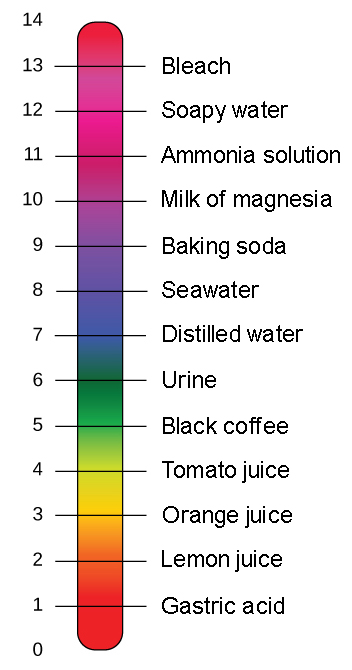 352x670 the ph scale biology for non majors i - Ph Scale Drawing