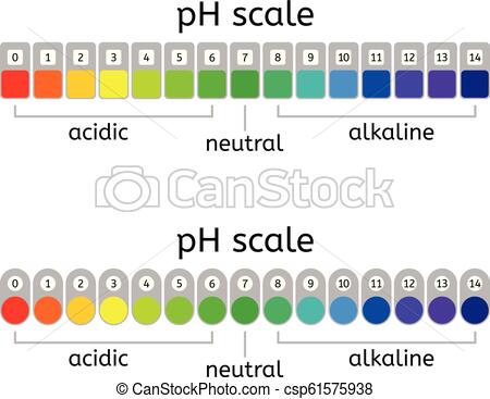 Ph Scale Drawing at PaintingValley.com | Explore collection of Ph Scale ...