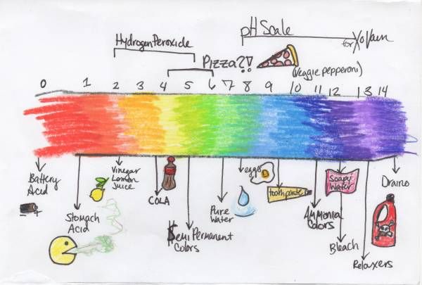 600x405 ph scale - Ph Scale Drawing