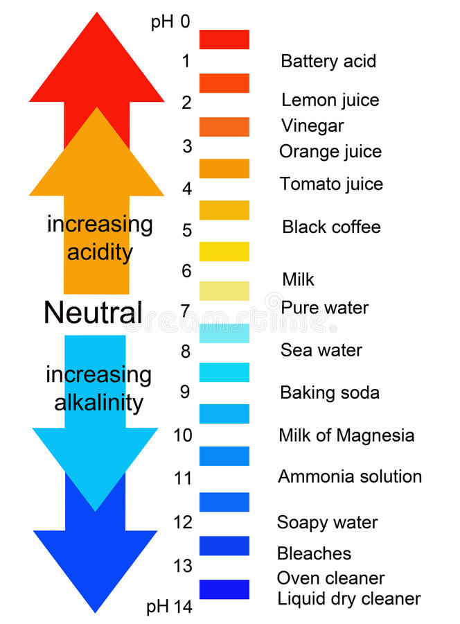 Ph Scale Drawing at PaintingValley.com | Explore collection of Ph Scale ...