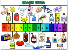 Ph Scale Drawing at PaintingValley.com | Explore collection of Ph Scale ...