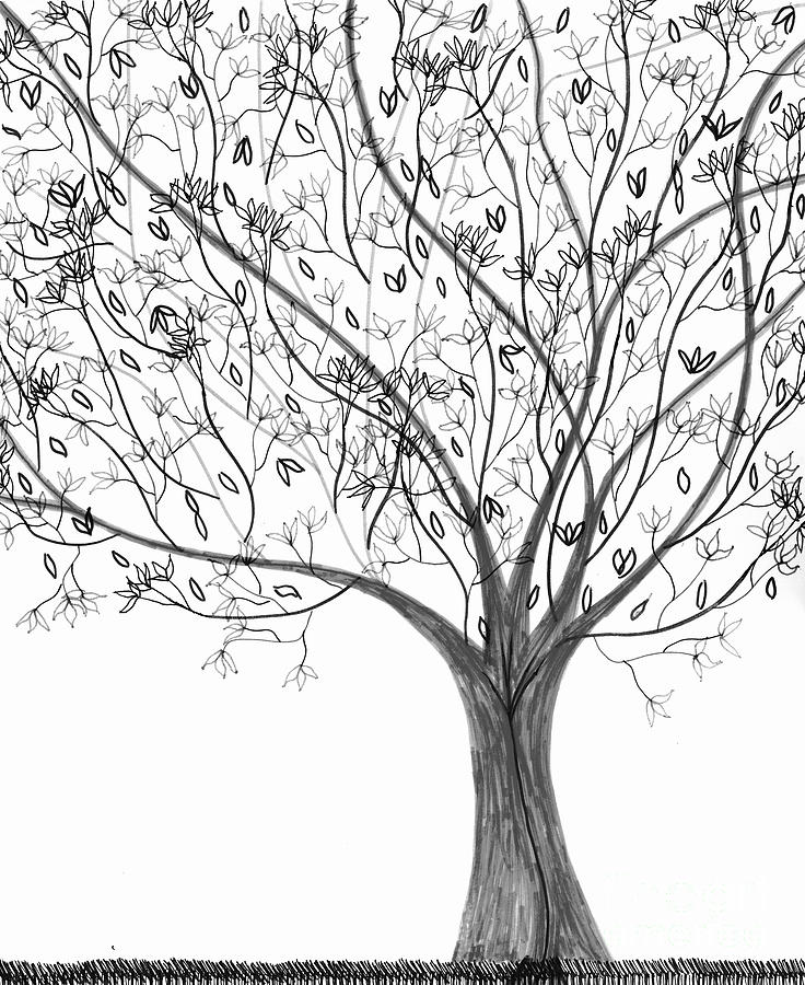 736x900 Pharmacy Drawing - Pharmacy Drawing