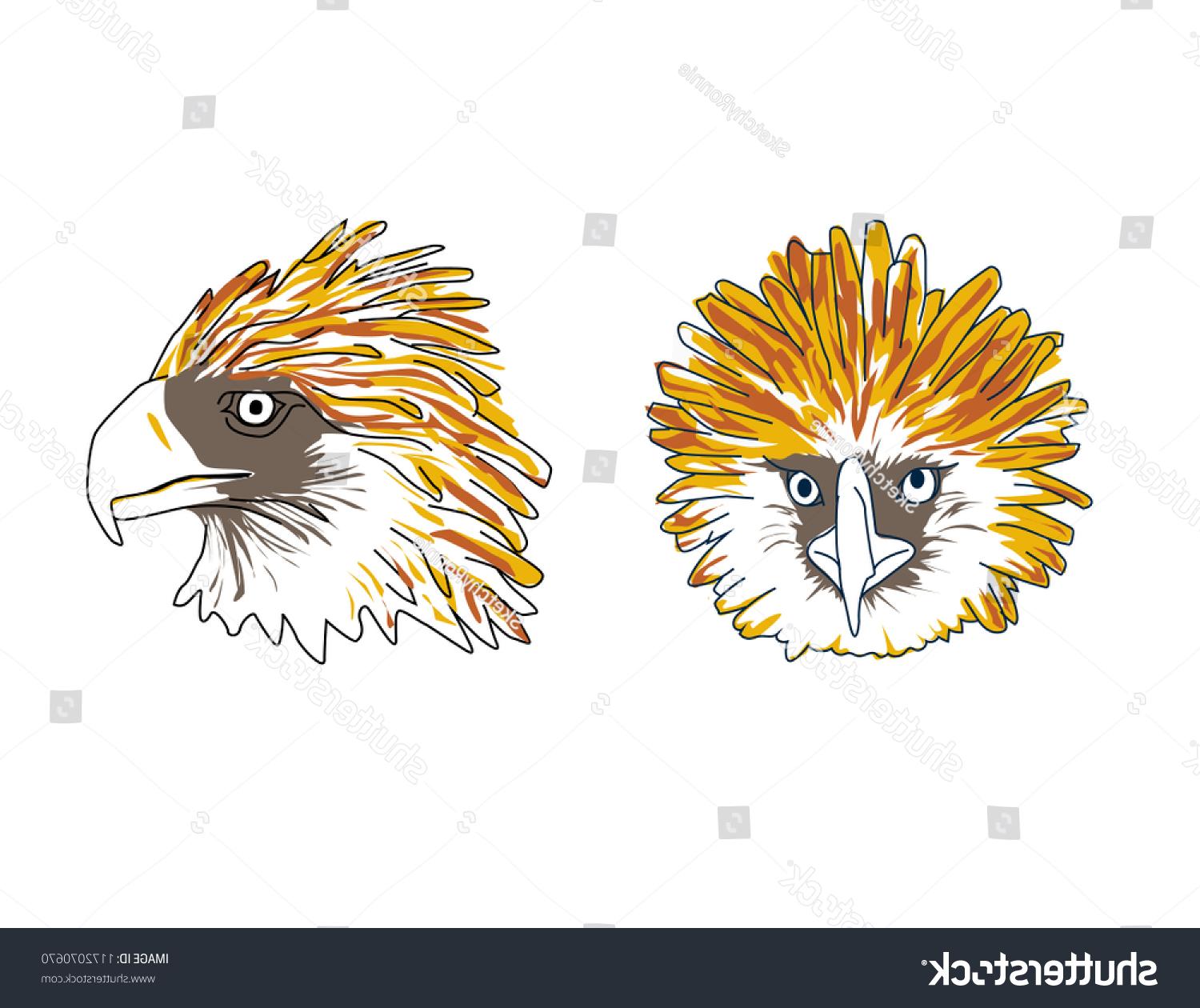 1500x1260 Top Stock Vector Philippine Eagle Drawing - Philippine Eagle Drawing