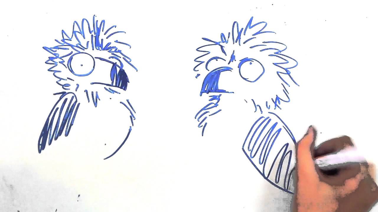 1280x720 Draw My Life - Philippine Eagle Drawing