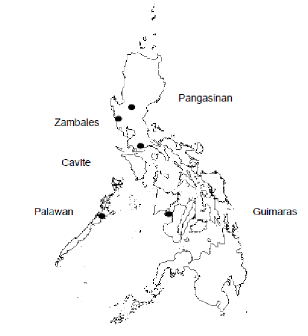 Philippine Map Drawing at PaintingValley.com | Explore collection of ...