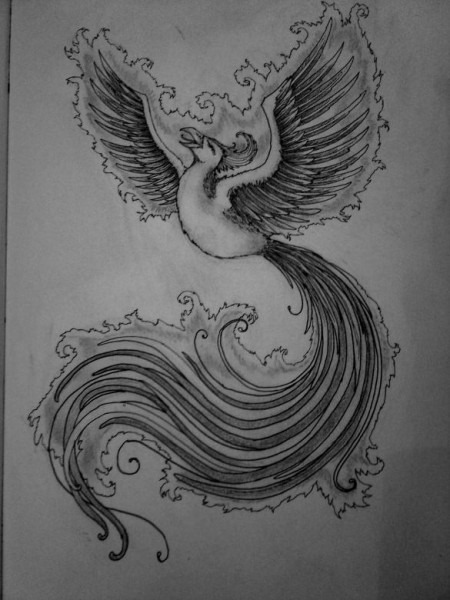 450x600 Phoenix Bird Drawings In Pencil - Phoenix Bird Drawing
