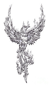 180x300 Phoenix Drawing - Phoenix Bird Drawing
