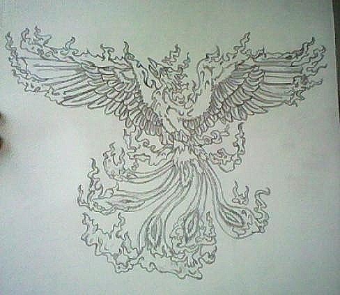 488x423 Drawing Immagini Phoenix Wallpaper And Background Foto - Phoenix Drawing