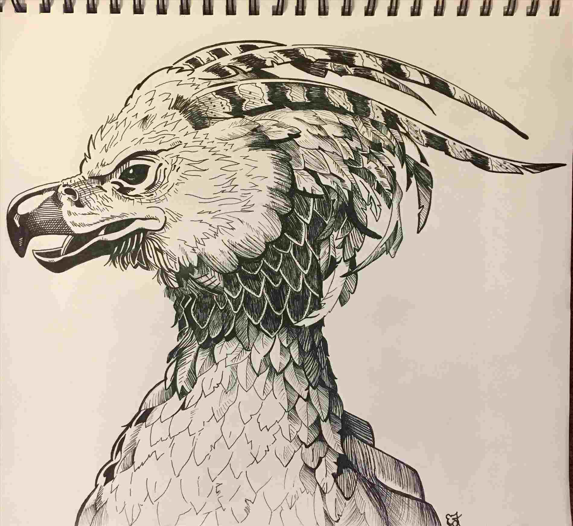 1899x1744 Easy To Draw Phoenix - Phoenix Drawing