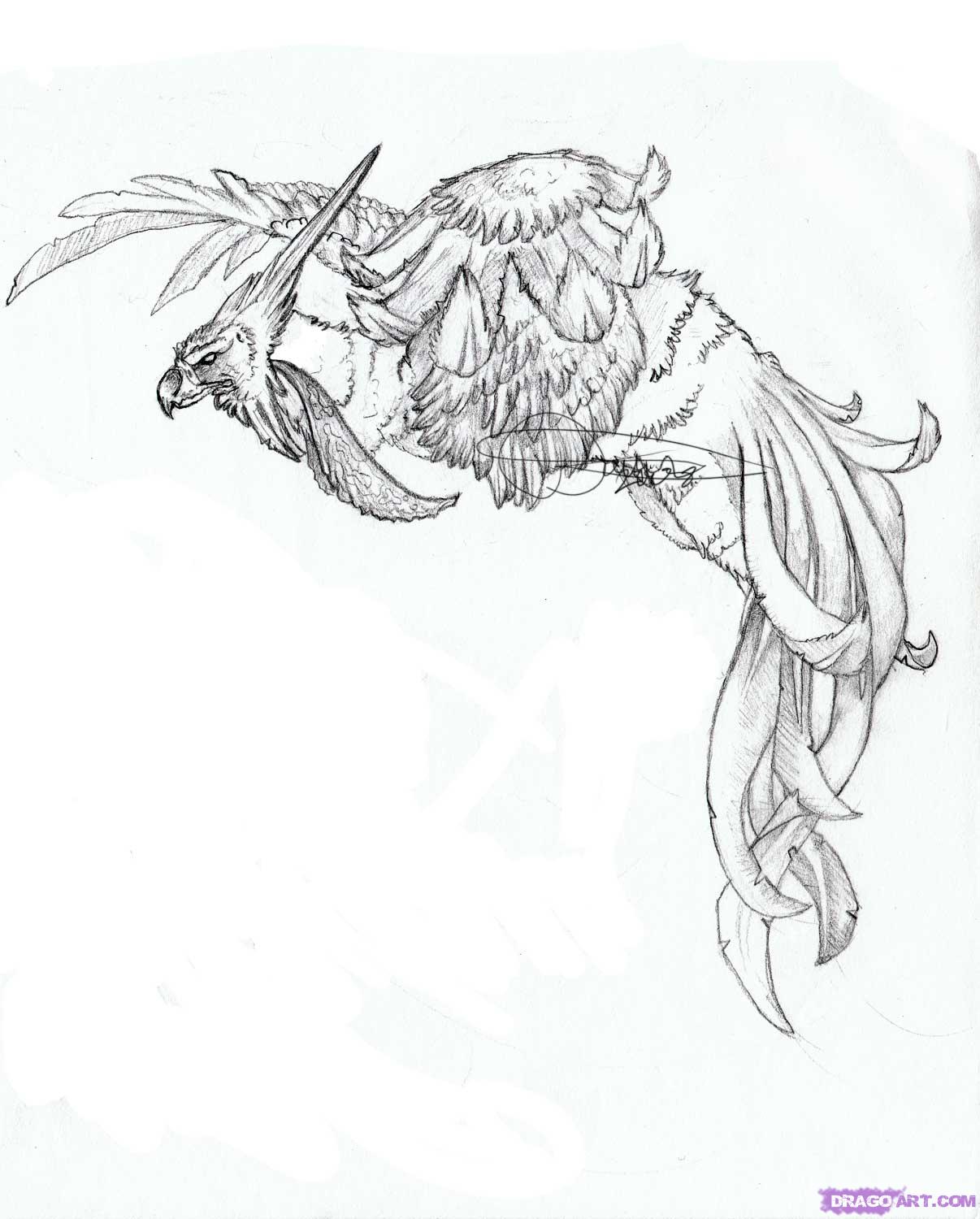 1206x1500 How To Draw A Phoenix, Step - Phoenix Drawing