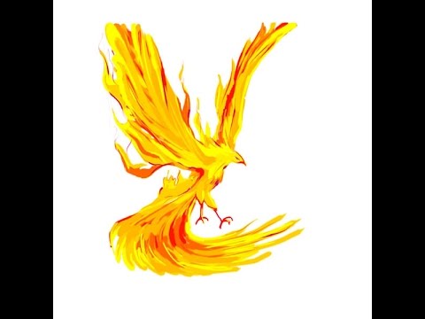 480x360 How To Draw Phoenix - Phoenix Drawing