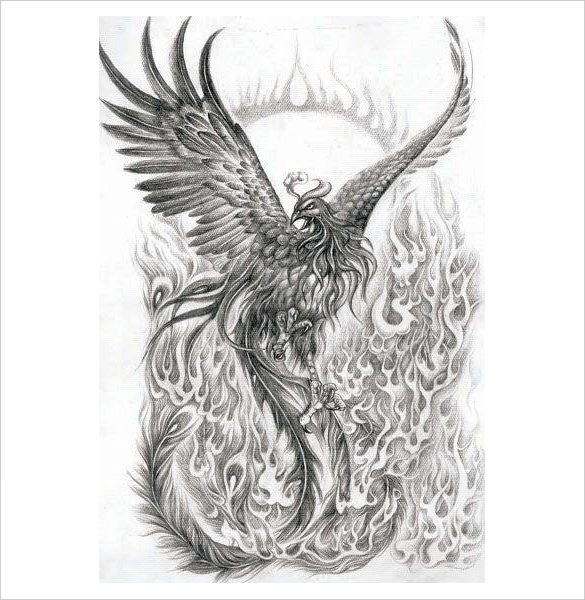 585x600 Mind Blowing Phoenix Bird Art Drawings Free Premium Templates - Phoenix Drawing