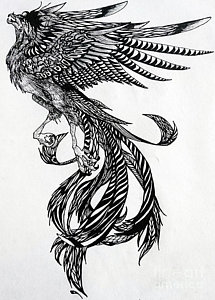 215x300 Phoenix Drawings - Phoenix Drawing