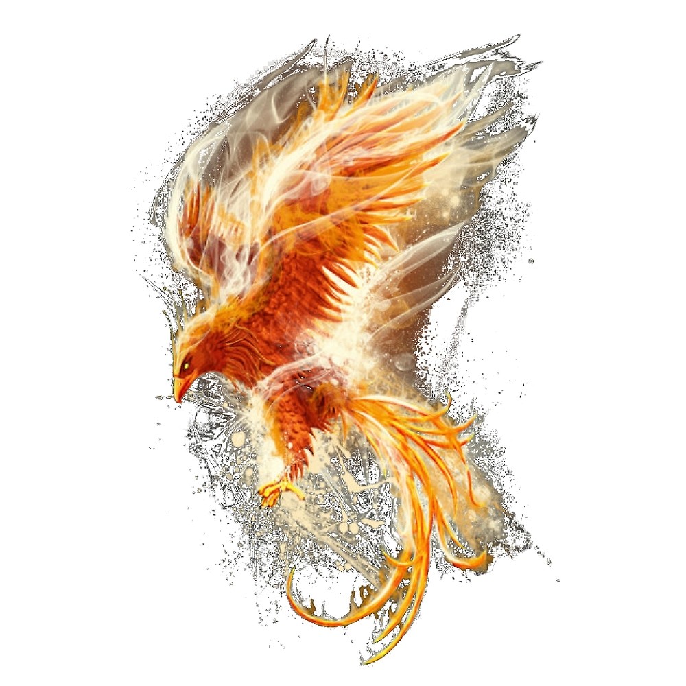 1000x1000 Phoenix Drawing - Phoenix Drawing