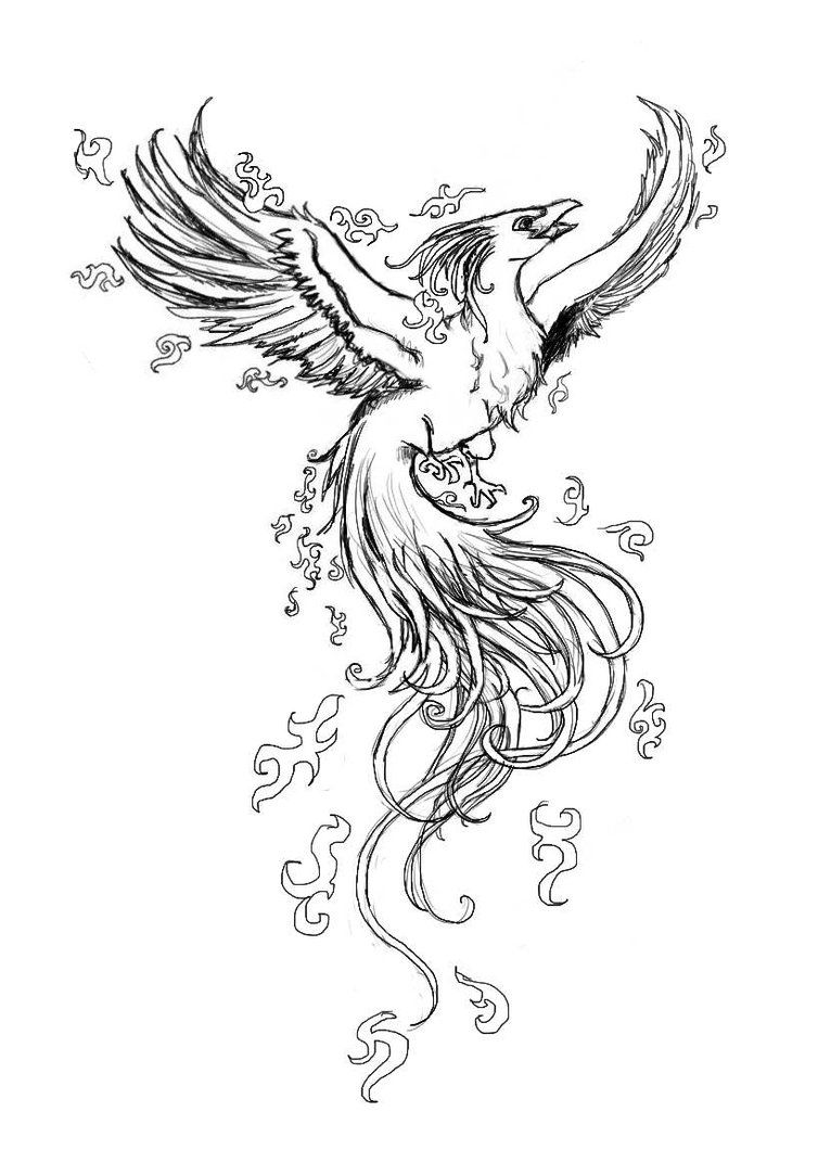 754x1060 Phoenix Drawing Green For Free Download - Phoenix Drawing