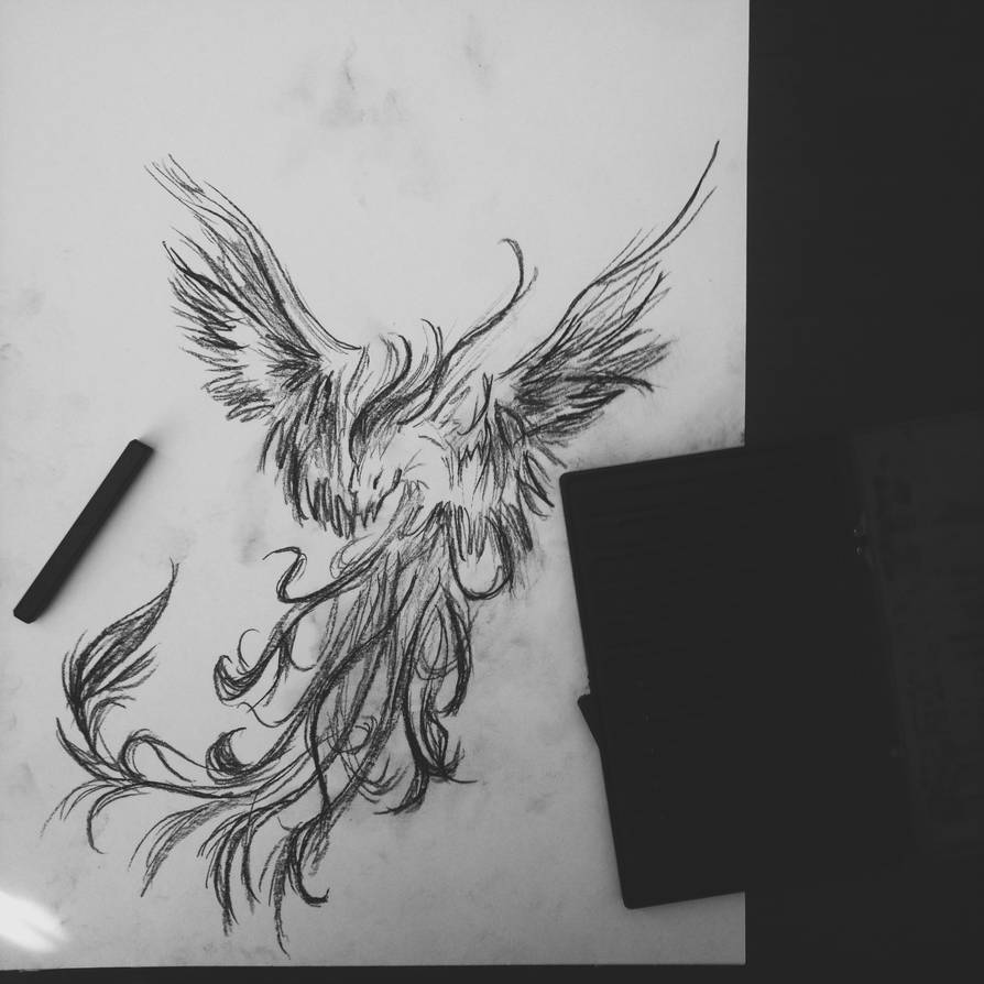 894x894 Charcoal Phoenix Drawing - Phoenix Drawing