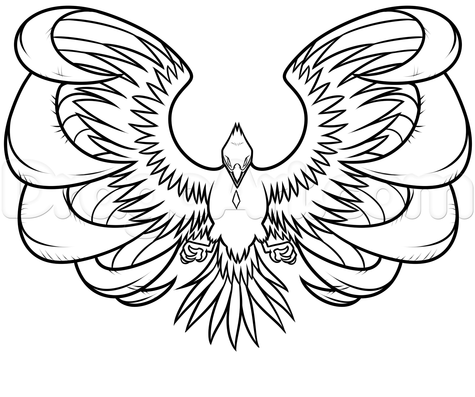 1600x1338 Drawing A Phoenix Step - Phoenix Drawing
