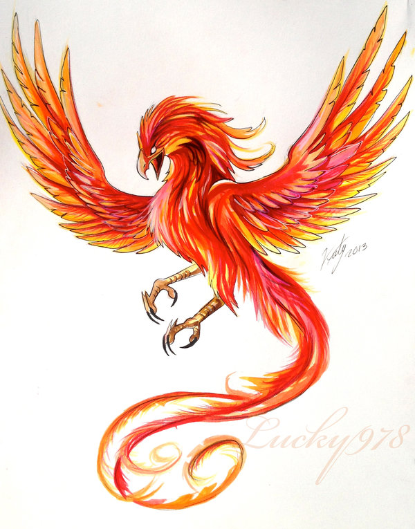 600x765 Colored Phoenix Tattoo Design - Phoenix Drawing Color