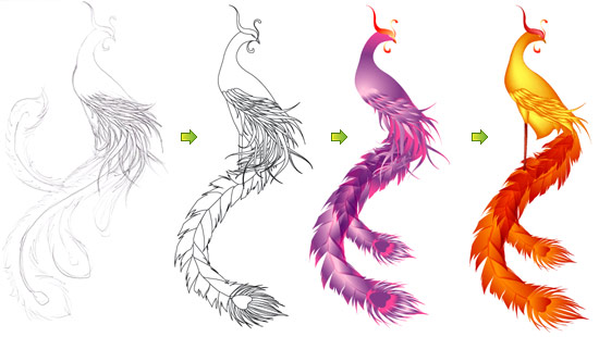550x310 Design Process Of The Phoenix Illustration - Phoenix Drawing Color