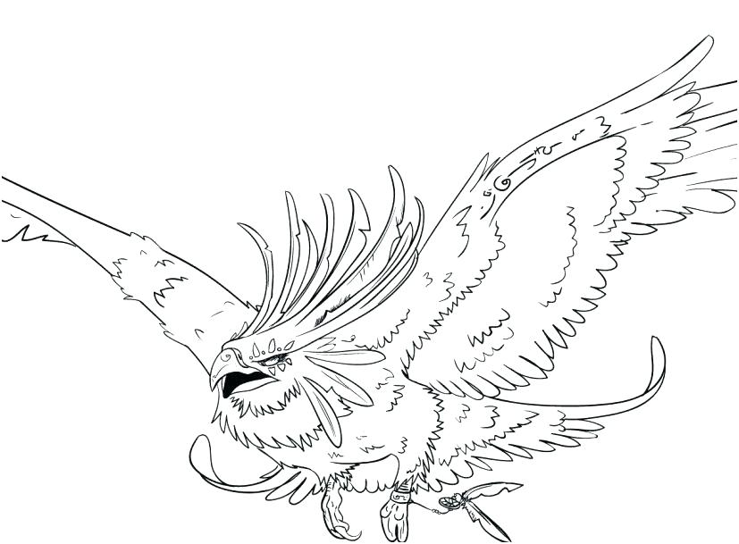 827x609 Kiwi Bird Colouring Pages Pictures Phoenix Drawing In Color - Phoenix Drawing Color