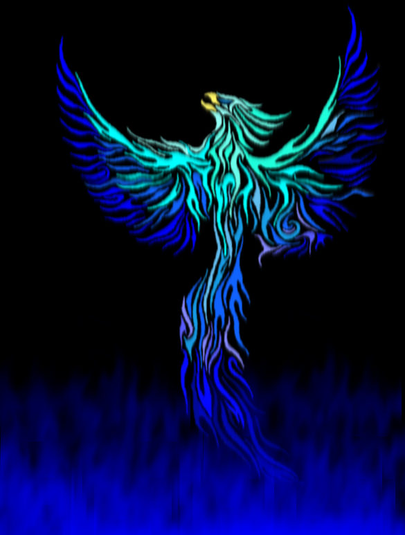 585x773 Mind Blowing Phoenix Bird Art Drawings Free Premium Templates - Phoenix Drawing Color