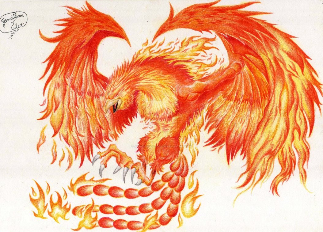1054x757 Phoenix - Phoenix Drawing Color