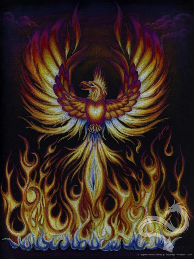 674x900 Phoenix Rising Drawing - Phoenix Drawing Color
