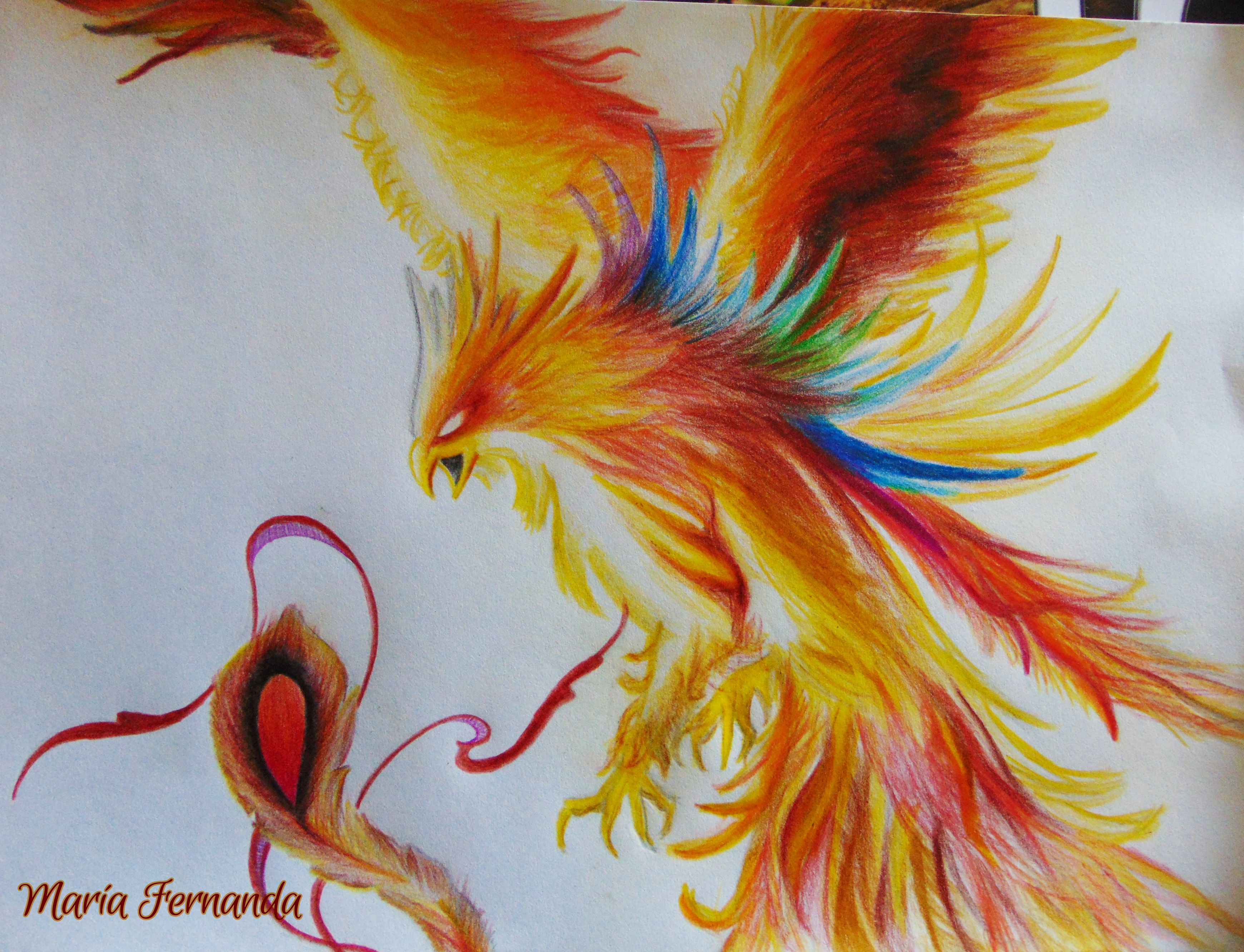 Drawing - Phoenix Drawing Color. 