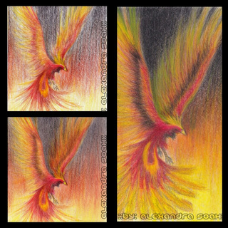 320x320 A Collage Of My Phase - Phoenix Drawing Color