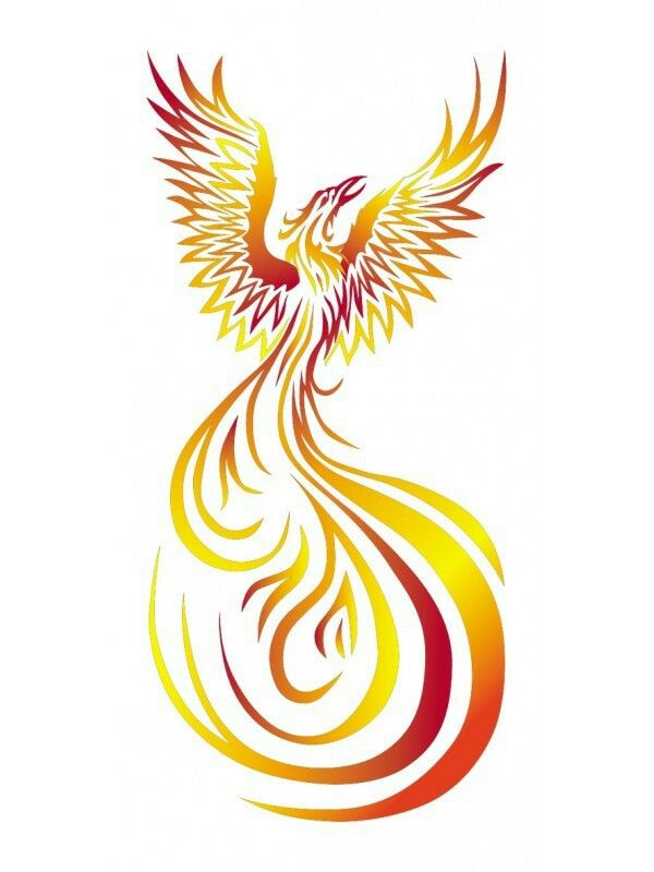 600x800 Huge Collection Of 'phoenix Drawing Color' Download More Than - Phoenix Drawing In Color
