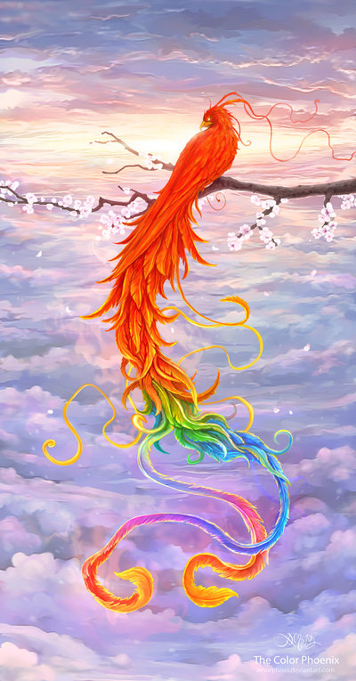 400x765 Phoenix Bird Drawings Color Gtgt - Phoenix Drawing In Color