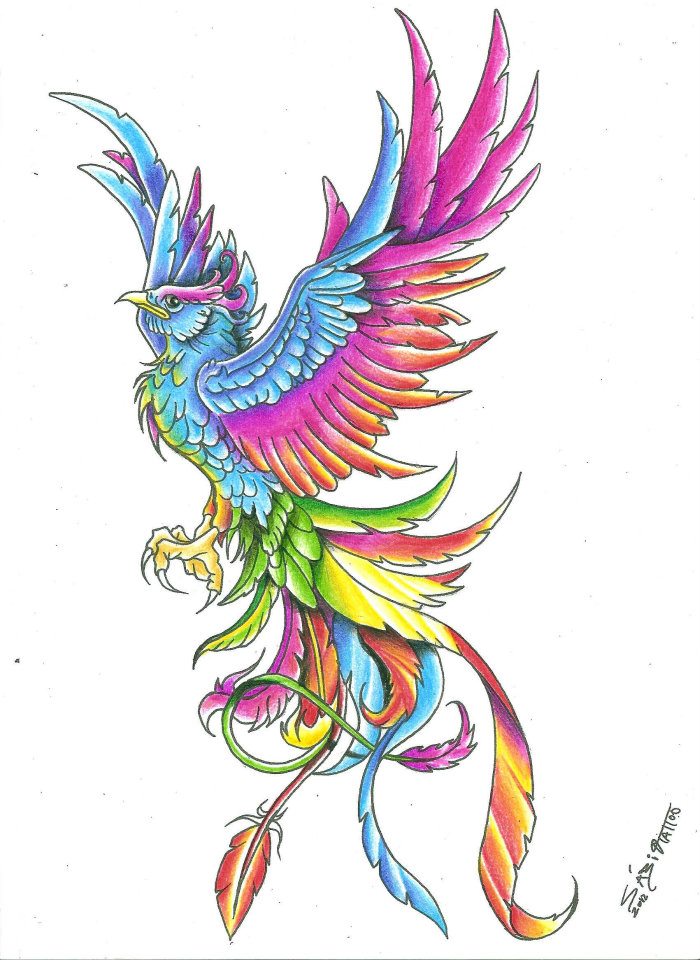 700x960 Phoenix Tattoo Images Designs - Phoenix Drawing In Color