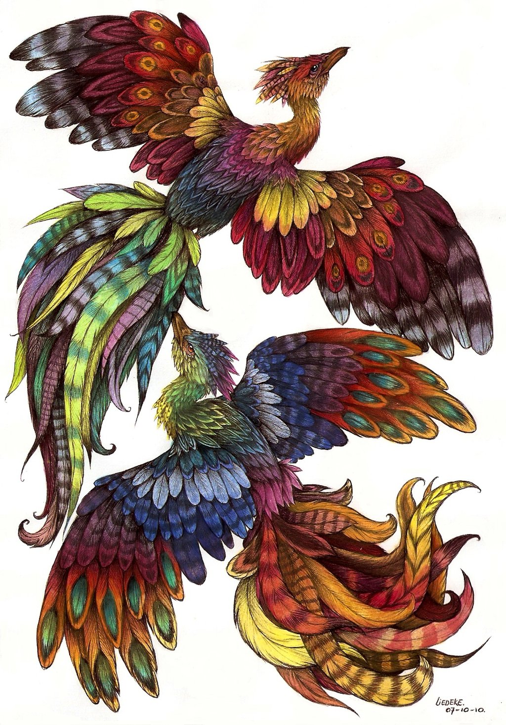 1024x1466 Pictures Of Phoenix Bird Drawings Color - Phoenix Drawing In Color