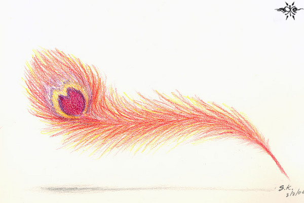 600x401 Phoenix Feather - Phoenix Drawing In Color