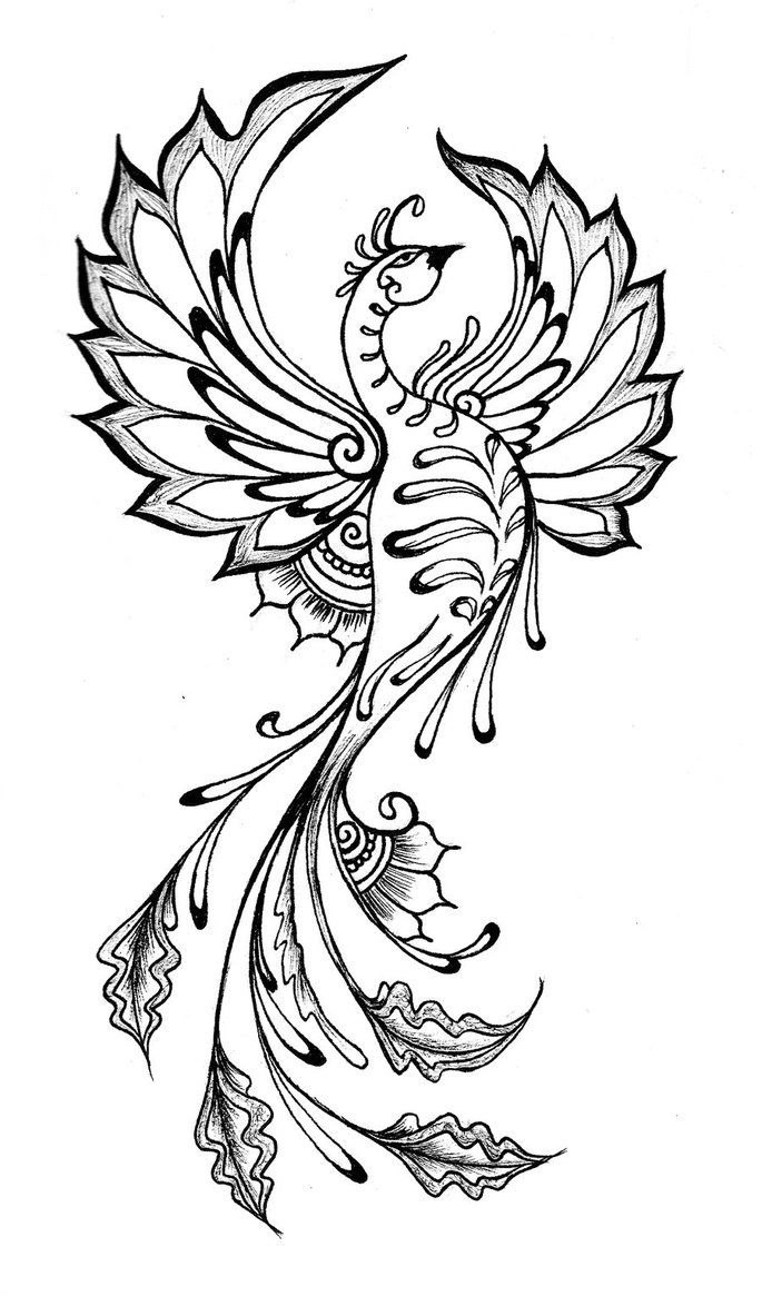 685x1165 Henna Phoenix - Phoenix Line Drawing