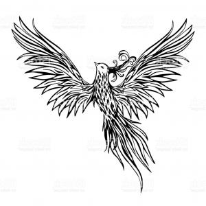 300x300 line art phoenix bird vector clipart sohadacouri - Phoenix Line Drawing