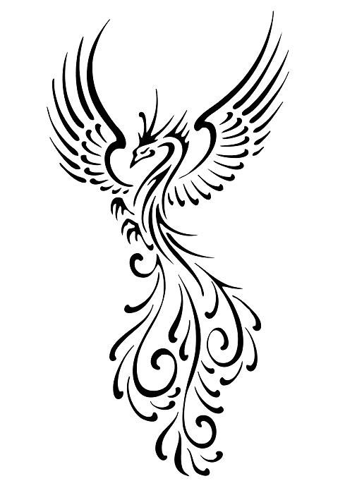 Phoenix Line Drawing at PaintingValley.com | Explore collection of ...