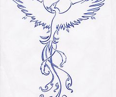 240x200 Line Drawing Of A Phoenix Tattoo Ideas Tattoos, Rising Phoenix - Phoenix Line Drawing