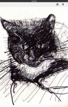 288x450 Drawings - Phoenix Outline Drawing