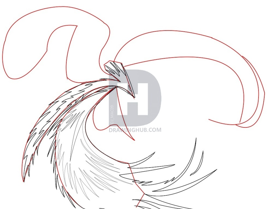 939x720 How To Draw A Phoenix, Step - Phoenix Outline Drawing