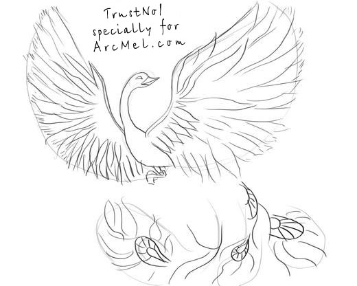 520x416 How To Draw Phoenix Step - Phoenix Outline Drawing