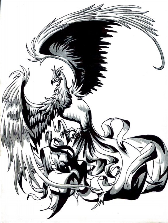 585x775 Mind Blowing Phoenix Bird Art Drawings Free Premium Templates - Phoenix Outline Drawing