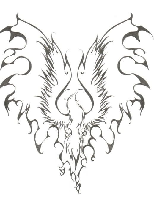 518x680 Latest Outline Phoenix Tattoo Design - Phoenix Outline Drawing