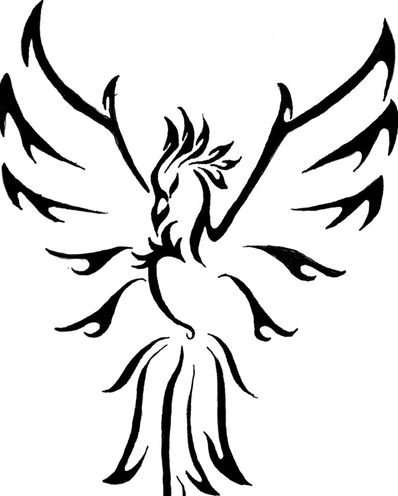 801x998 New Phoenix Tribal Tattoo Design Tattoo Ideas - Phoenix Outline Drawing
