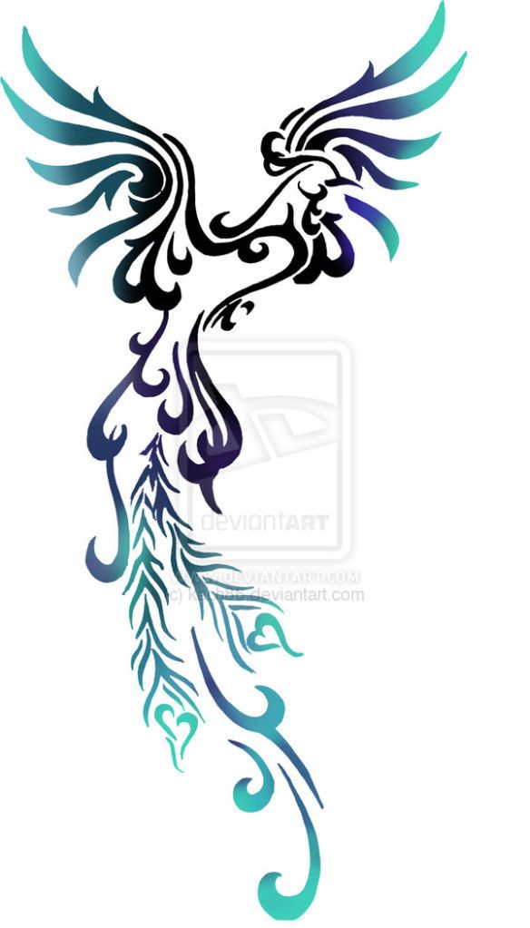 584x1023 Phoenix Birds Images Tattoos On Phoenix Outline Drawing At Com - Phoenix Outline Drawing
