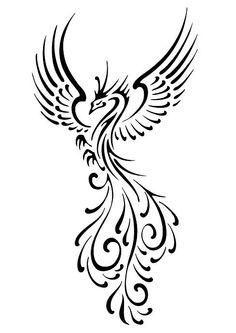 236x333 Pictures Drawings Of Phoenix Bird - Phoenix Outline Drawing