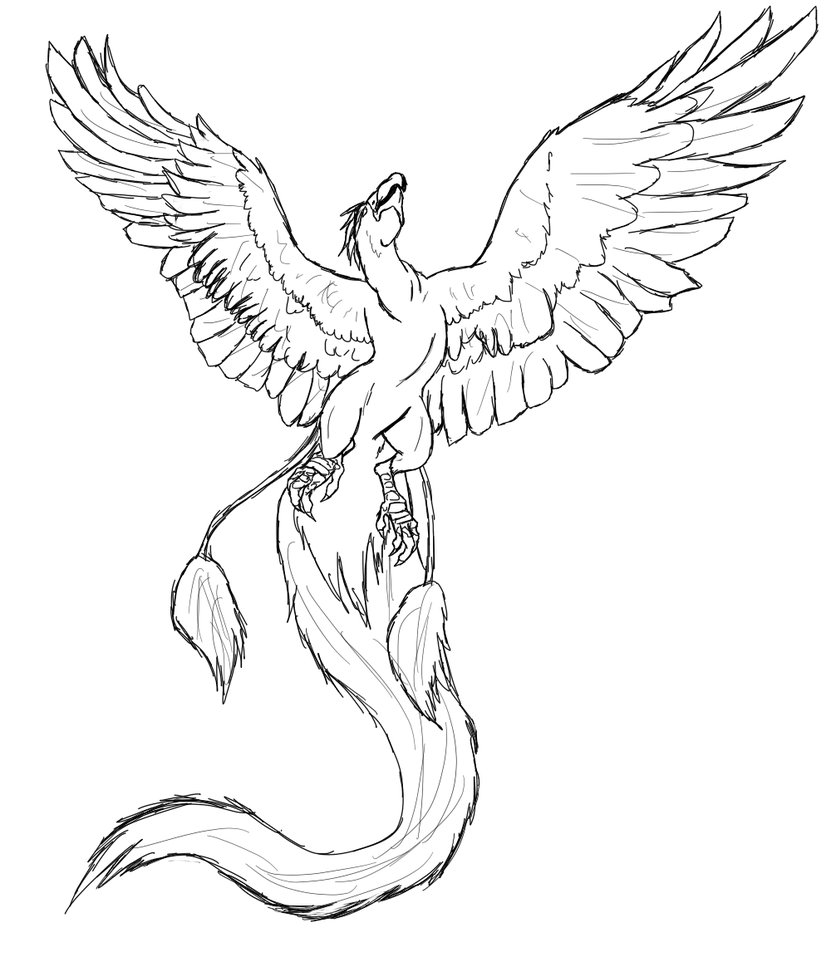 831x962 Phoenix Drawing Line Drawing For Free Download - Phoenix Outline Drawing
