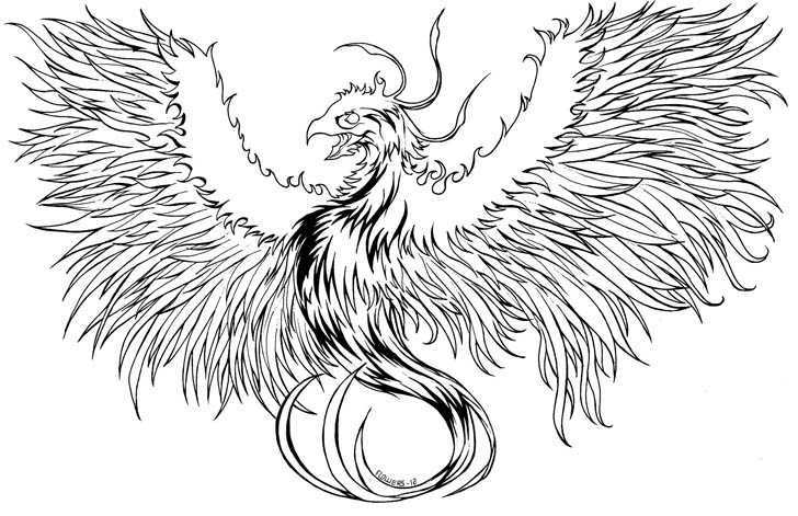 728x471 Unique Black Outline Phoenix Tattoo Stencil - Phoenix Outline Drawing