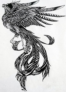Phoenix Outline Drawing at PaintingValley.com | Explore collection of ...